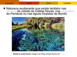 Natureza exuberante que existe também nas  termas  da cidade de Caldas Novas, nos  alagados  do Pantanal ou nas águas límpidas de Bonito. Bonito é muito bonito . Imagem de Sérgio Araújo Pereira em  Flickr . 