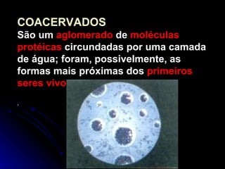 COACERVADOS São um  aglomerado  de  moléculas   protéicas  circundadas por uma camada de água; foram, possivelmente, as formas mais próximas dos  primeiros   seres   vivos . . 