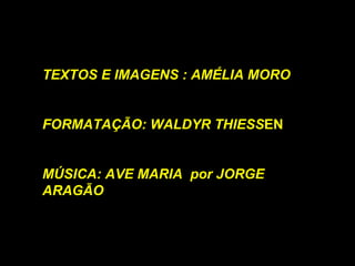 TEXTOS E IMAGENS : AMÉLIA MORO FORMATAÇÃO: WALDYR THIESS EN MÚSICA: AVE MARIA  por JORGE ARAGÃO 