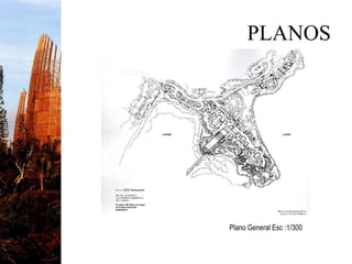PLANOS
Plano General Esc :1/300
 