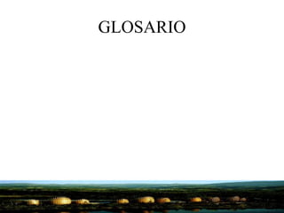 GLOSARIO
 