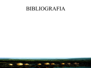 BIBLIOGRAFIA
 