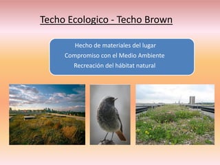 Techo Ecologico - Techo Brown

        Hecho de materiales del lugar
     Compromiso con el Medio Ambiente
       Recreación del hábitat natural
 
