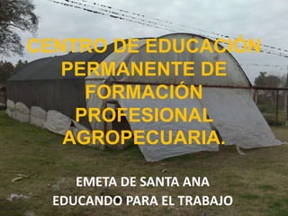 CENTRO DE EDUCACIÓN 
PERMANENTE DE 
FORMACIÓN 
PROFESIONAL 
AGROPECUARIA. 
EMETA DE SANTA ANA 
EDUCANDO PARA EL TRABAJO 
 
