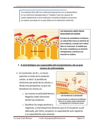 CENTRO DE ESTUDIO E INVESTIGACIÓN DE BIOMAGNETISMO HOLÍSTICO Y TÉCNICAS BIOENERGÉTICAS PARA EL DESARROLLO HUMANO A. C.
Lic. Jorge Tapia Márquez e-mail; mnjorgetapia@hotmail.com Página 15
 A nivel biológico son responsables del envejecimiento y de un gran
número de enfermedades
 En conclusión, los R.L., se hacen
patentes a través de la oxidación
celular, es decir, la perdida de
electrones por parte de las células, y
desde esta perspectiva, lo que nos
benefician los imanes es:
o Los imanes en polaridad Norte o
Negativo ceden electrones
donde hay oxidación.
o Equilibrar las cargas positivas y
negativas, a nivel bioquímico diríamos que es el recuperen su pH
adecuado, por tanto, recuperen su capacidad de auto regularse
y su capacidad de auto sanación.
Los radicales libres (RL) son moléculas hiperactivas con un desequilibrio
en sus electrones (desapareados o “robados”) que son capaces de
oxidar rápidamente a otras moléculas; iniciando verdaderas reacciones
en cadena, que dejan en su paso daños en la ordenación molecular.
LOS PELIGROS DE LA OXIDACIÓN
Si esta reacción en cadena de los Radicales
Libres no se rompe, puede comprometer
la integridad de la membrana celular
LOS RADICALES LIBRES CREAN
REACCIONES EN CADENA
Al tratar de reestablecer el balance,
un radical libre toma un electrón de
otra molécula, creando otro radical
libre en el proceso. A medida que
RL recien creadobusca un electrón
reemplazante, comienza una
reacción en cadena
 