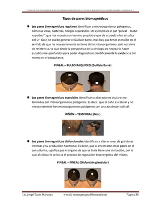 CENTRO DE ESTUDIO E INVESTIGACIÓN DE BIOMAGNETISMO HOLÍSTICO Y TÉCNICAS BIOENERGÉTICAS PARA EL DESARROLLO HUMANO A. C.
Lic. Jorge Tapia Márquez e-mail; mnjorgetapia@hotmail.com Página 36
Tipos de pares biomagnéticos
 Los pares biomagnéticos regulares identifican a microorganismos patógenos,
llámense virus, bacterias, hongos o parásitos. Un ejemplo es el par “pineal – bulbo
raquideo”, que nos muestra un terreno propicio y que de acuerdo a los estudios
del Dr. Goiz, se puede generar el Guillain Barré, mas hay que tener atención en el
sentido de que no necesariamente se tiene dicho microorganismo, solo nos sirve
de referencia, ya que desde la perspectiva de la virología es necesario hacer
estudios mas profundos para poder diagnosticar cientificamente la existencia del
mismo en el consultante.
PINEAL – BULBO RAQUIDEO (Guillain Barré)
 Los pares biomagnéticos especiales identifican a alteraciones tisulares no
toleradas por microorganismos patógenos. Es decir, que el daño es celular y no
necesariamente hay microorganismos patógenos con una acción perjudicial.
RIÑÓN – TEMPORAL (Goiz)
 Los pares biomagnéticos disfuncionales identifican a alteraciones de glándulas
internas y su producción hormonal. Es decir, que al encotrarse estos pares en el
consultante, significa que el órgano de que se trate tiene una disfunción, por lo
que al colocarlo se inicia el proceso de regulación bioenergética del mismo.
PINEAL – PINEAL (Disfunción glandular)
 