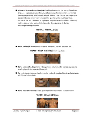 CENTRO DE ESTUDIO E INVESTIGACIÓN DE BIOMAGNETISMO HOLÍSTICO Y TÉCNICAS BIOENERGÉTICAS PARA EL DESARROLLO HUMANO A. C.
Lic. Jorge Tapia Márquez e-mail; mnjorgetapia@hotmail.com Página 37
 Los pares biomagnéticos de reservorios identifican áreas con un pH alterado en
órganos o tejidos que sustentan virus o bacterias potencialmente y por tiempo
indefinido hasta que no se regrese a su pH normal. En el caso de que un par que
sea considerado como reservorio, significa que hay un reservorio de virus,
bacterias, etc. Por tal motivo se sugiere en la siguiente sesión volver a hacer otro
rastreo porque hubo un movimiento dentro del organismo de dichos
microorganismos patógenos.
VESÍCULA – VESÍCULA (Prada)
 Pares complejos. Por ejemplo: diabetes verdadera, cirrosis hepática, etc.
HIGADO – RIÑÓN DERECHO (Cirrosis hepática)
 Pares temporales. Se generan y desaparecen naturalmente, cuando se presenta
una fractura, lesión o extracción dental.
 Para eliminarlos se pone el polo negativo en donde estaba el diente y el positivo en
el riñón del mismo lado.
 Pares psico-emocionales. Pares que impactan directamente a las emociones
PULMÓN – CORAZÓN (Tristeza)
 