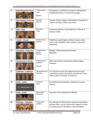 CENTRO DE ESTUDIO E INVESTIGACIÓN DE BIOMAGNETISMO HOLÍSTICO Y TÉCNICAS BIOENERGÉTICAS PARA EL DESARROLLO HUMANO A. C.
Lic. Jorge Tapia Márquez e-mail; mnjorgetapia@hotmail.com Página 54
71 Costo Diafragmático-Costo D Tripanosoma
cruzi
Bacteria
Cardiopatía o insuficiencia cardiaca, inflamando la
cavidad pericárdica, lo transmite la pulga
72 Costo Hepático–Costo hep. Borrelia
Bacteria
Provoca eritema migrans afectando en ocasiones al
sistema nervioso y fiebre recurrente.
73 Coxis – Coxis Rotavirus
Virus
Trastornos pélvicos. Causa diarrea en niños de 4
meses a 5 años
74 Craneal – Craneal Bacilo ántrax
Bacteria
Problemas nasofaríngeos, pólipos nasales, dolor,
visión mala, fotofobia, moco, quistes, hay tumor
hipofisario
75 Cresta Iliaca - Cresta Iliaca Tripanosoma
gambi
Bacteria
Mialgias. Disfunción gastrointestinal.
Obesidad
76 Cuadrado Lumbar–Cuad lumb Tripanosoma
palidum
Bacteria
Sífilis, falsa artritis, reumatismo, dolores dorso
lumbares
77 Cuádriceps - Cuádriceps Intoxicación por
bismuto
Es un fenómeno tóxico por ingesta de verduras (por
insecticidas), provoca intoxicación y da dolor de cintura,
cadera y pelvis, simulando reumatismos
78 Cubito – Cubito Herpes III
Virus
Se manifiesta internamente, afecta las mucosas
internas
79 Cuello – Cuello Blastocistis
hominnís
Causa de crisis convulsivas en México
80 Deltoides – Deltoides Treponema
palidum
Se confunde con falsa artritis causando reumatismo
articular falso, son por transmisión vaginal o uretral
no a fuerza sexual. Da dolores dorso-lumbares
 