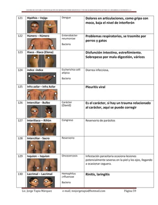 CENTRO DE ESTUDIO E INVESTIGACIÓN DE BIOMAGNETISMO HOLÍSTICO Y TÉCNICAS BIOENERGÉTICAS PARA EL DESARROLLO HUMANO A. C.
Lic. Jorge Tapia Márquez e-mail; mnjorgetapia@hotmail.com Página 59
121 Hipófisis – Vejiga Dengue Dolores en articulaciones, como gripa con
moco, baja el nivel de interferón
122 Húmero – Húmero Enterobácter
neumoniae
Bacteria
Problemas respiratorios, se trasmite por
perros y gatos
123 Iliaco - Iliaco (Elena) Disfunción intestino, estreñimiento.
Sobrepeso por mala digestión, várices
124 índice –índice Escherichia collí
atípica
Bacteria
Diarrea infecciosa,
125 Infra axilar – Infra Axilar Pleuritis viral
126 Interciliar - Bulbo Carácter
(David)
Es el carácter, si hay un trauma relacionado
al carácter, aquí se puede corregir
127 Interiliaco – Riñón Congreso Reservorio de parásitos
128 Intercilíar - Sacro Reservorio
129 Isquion – Isquion Oncocercosis Infestación parasitaria ocasiona lesiones
potencialmente severas en la piel y los ojos, llegando
a ocasionar ceguera.
130 Lacrimal – Lacrimal Hemophilus
¡nfluenzae
Bacteria
Rinitis, laringitis
 