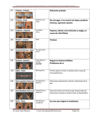 CENTRO DE ESTUDIO E INVESTIGACIÓN DE BIOMAGNETISMO HOLÍSTICO Y TÉCNICAS BIOENERGÉTICAS PARA EL DESARROLLO HUMANO A. C.
Lic. Jorge Tapia Márquez e-mail; mnjorgetapia@hotmail.com Página 66
191 Próstata – Próstata Disfunción próstata
192 Próstata – Recto Papiloma virus
Virus
Da verrugas, si se asocia con lepra, produce
miomas, aparecen quistes
193 Pudendo – Pudendo Parotiditis
Virus
Paperas, afecta a los testículos y vejiga, es
causa de infertilidad.
194 Pulmón – corazón Kado Tristeza
195 Punta De Páncreas – Bazo Verruga común
Virus
196 Quiasma - Quiasma Flujo linfático o
linfoide
(Lucina)
Regula al sistema linfático
Problemas de vi
197 Radio – Radio Microsporum Tiña de cabeza en niños. En adultos sólo en casos de
inmunodeficiencia
198 Rama Isquiática-Rama Izq. Estreptococo c
Bacteria
Infecciones respiratorias, diarrea, infecciones de la
piel
199 Rama Mandibular–Rama mand Staphylococcus
Epidermis
Parte de la flora normal de la piel. Responsable de
infecciones cutáneas cuando la flora se desequilibra
200 Recto – Recto Pseudomona
aeruginosa
Se cree que origina la metástasis
 