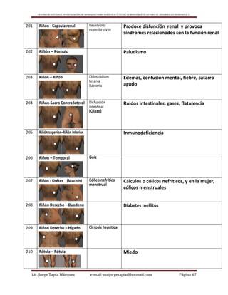 CENTRO DE ESTUDIO E INVESTIGACIÓN DE BIOMAGNETISMO HOLÍSTICO Y TÉCNICAS BIOENERGÉTICAS PARA EL DESARROLLO HUMANO A. C.
Lic. Jorge Tapia Márquez e-mail; mnjorgetapia@hotmail.com Página 67
201 Riñón - Capsula renal Reservorio
específico VIH
Produce disfunción renal y provoca
síndromes relacionados con la función renal
202 Riñón – Pómulo Paludismo
203 Riñón – Riñón Chlostridium
tetania
Bacteria
Edemas, confusión mental, fiebre, catarro
agudo
204 Riñón-Sacro Contra lateral Disfunción
intestinal
(Olazo)
Ruidos intestinales, gases, flatulencia
205 Riñón superior–Riñón inferior Inmunodeficiencia
206 Riñón – Temporal Goiz
207 Riñón - Uréter (Machín) Cólico nefrítico
menstrual
Cálculos o cólicos nefríticos, y en la mujer,
cólicos menstruales
208 Riñón Derecho – Duodeno Diabetes mellitus
209 Riñón Derecho – Hígado Cirrosis hepática
210 Rótula – Rótula Miedo
 