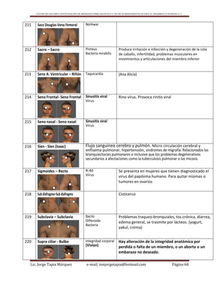 CENTRO DE ESTUDIO E INVESTIGACIÓN DE BIOMAGNETISMO HOLÍSTICO Y TÉCNICAS BIOENERGÉTICAS PARA EL DESARROLLO HUMANO A. C.
Lic. Jorge Tapia Márquez e-mail; mnjorgetapia@hotmail.com Página 68
211 Saco Douglas-Vena Femoral Norkwar
212 Sacro – Sacro Proteus
Bacteria mirabilis
Produce irritación e infección y degeneración de la cola
de caballo, infertilidad, problemas musculares en
movimientos y articulaciones del miembro inferior
213 Seno A. Ventricular – Riñón Taquicardia (Ana Alicia)
214 Seno Frontal- Seno Frontal Sinusitis viral
Virus
Rino vírus. Provoca rinitis viral
215 Seno nasal - Seno nasal Sinusitis viral
Virus
216 Sien - Sien (Isaac) Flujo sanguíneo cerebro y pulmón. Micro circulación cerebral y
enfisema pulmonar, hipertensión, síndromes de migraña. Relacionados las
bronquiectocies pulmonares e inclusive que los problemas degenerativos
secundarios a afectaciones como la tuberculosis pulmonar o las micosis.
217 Sigmoides – Recto R-40
Virus
Se presenta en mujeres que tienen diagnosticado el
virus del papiloma humano. Para quitar miomas o
tumores en ovarios
218 Subdiafragma–Sub diafragma Cisticerco
219 Subclavia – Subclavia Bacilo
Difteroide
Bacteria
Problemas traqueo-bronquiales, tos crónica, diarrea,
edema general, se trasmite por lácteos. (yogurt,
yakul, crema)
220 Supra ciliar - Bulbo Integridad corporal
(Vivían)
Hay alteración de la integridad anatómica por
perdida o falta de un miembro, o un aborto o un
embarazo no deseado.
 