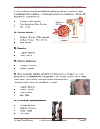 CENTRO DE ESTUDIO E INVESTIGACIÓN DE BIOMAGNETISMO HOLÍSTICO Y TÉCNICAS BIOENERGÉTICAS PARA EL DESARROLLO HUMANO A. C.
Lic. Jorge Tapia Márquez e-mail; mnjorgetapia@hotmail.com Página 85
lo cual permite que las proteínas del plasma sanguíneo atraviesen la membrana y sean
expulsadas por la orina. Es lo que se conoce como proteinuria masiva (exceso de excreción
de proteínas a través de la orina).
• Duodeno - Riñón Izquierdo
• Colon Ascendente-Riñón Derecho
• Cáliz - Uretra
22.- Síndrome Nefrótico (2)
• Conducto Páncreas - Riñón izquierdo
• Conducto Vesícula - Riñón derecho
• Riñón – Riñón
23.- Mezquinos
• Escápula - Escápula
• Timo – Parietal
24.- Síndrome de Alzheimer
• Calcáneo - Calcáneo
• Muñeca - Muñeca
25.- Osteo Sarcoma de Miembro Superior (tumor óseo canceroso (maligno) más común
en la juventud y la edad promedio de diagnóstico es a los 15 años. Los niños y niñas tienen
una incidencia similar de este tumor hasta finales de la adolescencia,
tiempo en el cual resultan más afectados los varones)
• Escápula - Escápula
• Muñeca - Muñeca
• Cubito - Cubito
• Axila - Axila
26.- OsteoSarcoma de Miembro Inferior
• Escápula - Escápula
• Calcáneo - Calcáneo
• Ciático - Ciático
• Tibia - Tibia
 