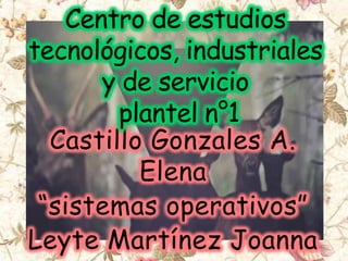 Castillo Gonzales A.
Elena
“sistemas operativos”
Leyte Martínez Joanna

 