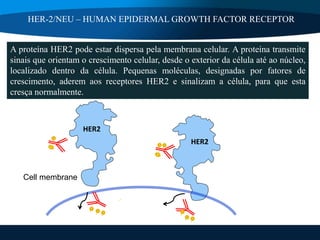 HIPEREXPRESSÃO DE RECEPTORES HER2/neu E SUAS ESTRATÉGIAS TERAPÊUTICAS ...