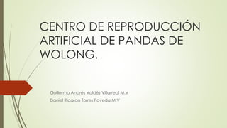 CENTRO DE REPRODUCCIÓN
ARTIFICIAL DE PANDAS DE
WOLONG.
Guillermo Andrés Valdés Villarreal M.V
Daniel Ricardo Torres Poveda M.V
 