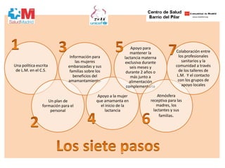 Una política escrita
de L.M. en el C.S.
Un plan de
formación para el
personal
Información para
las mujeres
embarazadas y sus
familias sobre los
beneficios del
amamantamiento.
Apoyo a la mujer
que amamanta en
el inicio de la
lactancia
Apoyo para
mantener la
lactancia materna
exclusiva durante
seis meses y
durante 2 años o
más junto a
alimentación
complementaria
Atmósfera
receptiva para las
madres, los
lactantes y sus
familias.
Colaboración entre
los profesionales
sanitarios y la
comunidad a través
de los talleres de
L.M. Y el contacto
con los grupos de
apoyo locales
 