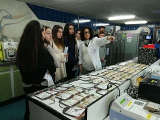 Centro de transfusiones Oviedo