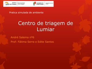 Centro de triagem de
Lumiar
André Salema nº6
Prof: Fátima Serra e Edite Santos
Pratica simulada de ambiente
 
