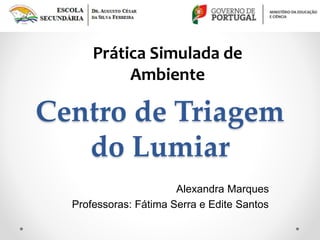 Centro de Triagem
do Lumiar
Alexandra Marques
Professoras: Fátima Serra e Edite Santos
Prática Simulada de
Ambiente
 