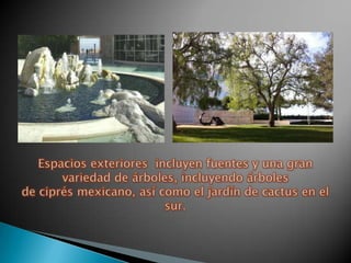 Espacios exteriores  incluyen fuentes y una gran variedad de árboles, incluyendo árboles de ciprés mexicano, así como el jardín de cactus en el sur.