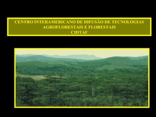 CENTRO INTERAMERICANO DE DIFUSÃO DE TECNOLOGIAS
AGROFLORESTAIS E FLORESTAIS
CIDTAF
 