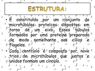• É constituída por um conjunto de
microtúbulos proteicos dispostos em
torno de um eixo. Esses túbulos
formados por uma proteína preparada
de modo semelhante aos cílios e
flagelos.
• Cada centríolo é composto por nove
trios de microtúbulos que juntos e
unidos formam um círculo.
 