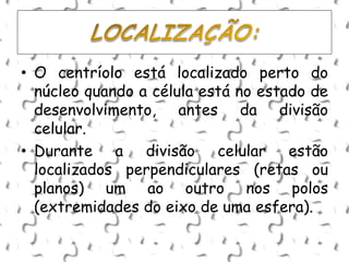 • O centríolo está localizado perto do
núcleo quando a célula está no estado de
desenvolvimento, antes da divisão
celular.
• Durante a divisão celular estão
localizados perpendiculares (retas ou
planos) um ao outro nos polos
(extremidades do eixo de uma esfera).
 