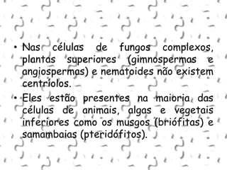 • Nas células de fungos complexos,
plantas superiores (gimnospermas e
angiospermas) e nematoides não existem
centríolos.
• Eles estão presentes na maioria das
células de animais, algas e vegetais
inferiores como os musgos (briófitas) e
samambaias (pteridófitos).
 