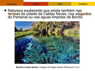 Natureza exuberante que existe também nas  termas  da cidade de Caldas Novas, nos  alagados  do Pantanal ou nas águas límpidas de Bonito. Bonito é muito bonito . Imagem de Sérgio Araújo Pereira em  Flickr . 