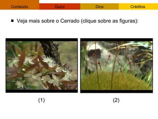 Veja mais sobre o Cerrado (clique sobre as figuras): (1) (2) 