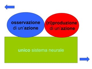 osservazione
di un’azione

(ri)produzione
di un’azione

unico sistema neurale

 