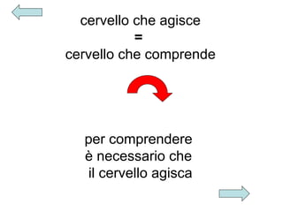 cervello che agisce
=
cervello che comprende

per comprendere
è necessario che
il cervello agisca

 