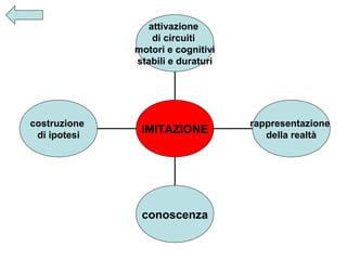 attivazione
di circuiti
motori e cognitivi
stabili e duraturi

costruzione
di ipotesi

IMITAZIONE

conoscenza

rappresentazione
della realtà

 