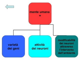 mente umana
=

varietà
dei geni

attività
dei neuroni

modificabilità
dei neuroni
attraverso
l’intervento
dell’ambiente

 