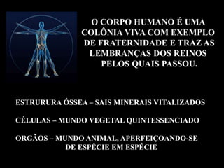 O CORPO HUMANO É UMA
COLÔNIA VIVA COM EXEMPLO
DE FRATERNIDADE E TRAZ AS
LEMBRANÇAS DOS REINOS
PELOS QUAIS PASSOU.
ESTRURURA ÓSSEA – SAIS MINERAIS VITALIZADOS
CÉLULAS – MUNDO VEGETAL QUINTESSENCIADO
ORGÃOS – MUNDO ANIMAL, APERFEIÇOANDO-SE
DE ESPÉCIE EM ESPÉCIE
 