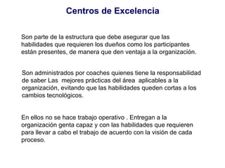 Centros de Excelencia Son parte de la estructura que debe asegurar que las habilidades que requieren los dueños como los participantes están presentes, de manera que den ventaja a la organización.  Son administrados por coaches quienes tiene la responsabilidad de saber Las  mejores prácticas del área  aplicables a la organización, evitando que las habilidades queden cortas a los cambios tecnológicos. En ellos no se hace trabajo operativo . Entregan a la organización genta capaz y con las habilidades que requieren para llevar a cabo el trabajo de acuerdo con la visión de cada proceso.  