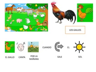 LOS GALLOS
CUANDO EL
EL GALLO CANTA POR LA
MAÑANA
SALE SOL