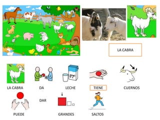 LA CABRA
DAR
LA CABRA DA LECHE TIENE CUERNOS
PUEDE GRANDES SALTOS