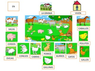 EN
VACAS
GALLINAS
CERDOS
OVEJAS
CONEJOS BURROS
CABALLOS
POLLITOS
GALLOS
PERROS
GATOSCABRAS
LA GRANJA VIVEN