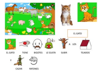 EL GATO
A LOS
Y
EL GATO TIENE BIGOTES LE GUSTA SUBIR TEJADOS
CAZAR RATONES