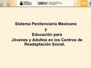 Sistema Penitenciario Mexicano
y
Educación para
Jóvenes y Adultos en los Centros de
Readaptación Social.
 