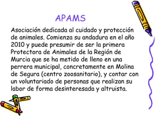 APAMS
Asociación dedicada al cuidado y protección
de animales. Comienza su andadura en el año
2010 y puede presumir de ser la primera
Protectora de Animales de la Región de
Murcia que se ha metido de lleno en una
perrera municipal, concretamente en Molina
de Segura (centro zoosanitario), y contar con
un voluntariado de personas que realizan su
labor de forma desinteresada y altruista.

 