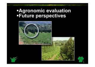 Agronomic evaluation
Future perspectives
 