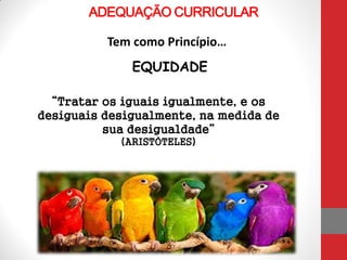 ADEQUAÇÃO CURRICULAR
Tem como Princípio…
EQUIDADE
“Tratar os iguais igualmente, e os
desiguais desigualmente, na medida de
sua desigualdade”
(ARISTÓTELES)
 