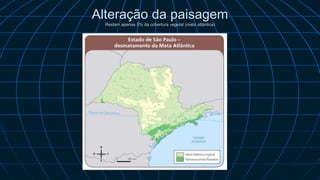 Alteração da paisagem
Restam apenas 5% da cobertura vegetal (mata atlântica)
 