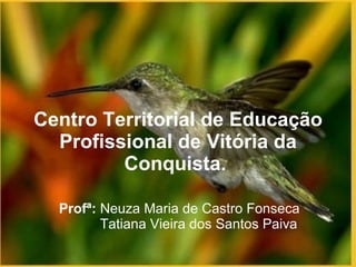 Centro Territorial de Educação Profissional de Vitória da Conquista.   Profª:  Neuza Maria de Castro Fonseca   Tatiana Vieira dos Santos Paiva 