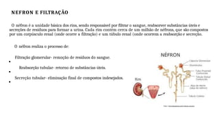 NEFRON E FILTRAÇÃO
O néfron é a unidade básica dos rins, sendo responsável por filtrar o sangue, reabsorver substâncias úteis e
secreções de resíduos para formar a urina. Cada rim contém cerca de um milhão de néfrons, que são compostos
por um corpúsculo renal (onde ocorre a filtração) e um túbulo renal (onde ocorrem a reabsorção e secreção.
O néfron realiza o processo de:
Filtração glomerular- remoção de resíduos do sangue.
Reabsorção tubular- retorno de substâncias úteis.
Secreção tubular- eliminação final de compostos indesejados.
https://www.todamateria.com.br/sistema-urinario/
 