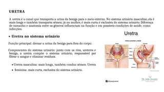 URETRA
A uretra é o canal que transporta a urina da bexiga para o meio externo. No sistema urinário masculino, ela é
mais longa e também transporta sêmen; já na mulher, é mais curta é exclusiva do sistema urinário. Diferença
de tamanho e anatomia entre os gêneros influenciam na função e em possíveis condições de saúde, como
infecções.
Uretra no sistema urinário
Função principal: drenar a urina da bexiga para fora do corpo.
Componentes do sistema urinário: junto com os rins, ureteres e
bexiga, a uretra compõe o sistema urinário, responsável por
filtrar o sangue e eliminar resíduos.
Uretra masculina: mais longa, também conduz sêmen. Uretra
feminina: mais curta, exclusiva do sistema urinário.
 