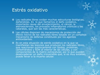 Estrés oxidativo 
 Los radicales libres oxidan muchas estructuras biológicas, 
dañándolas. Es lo que llamamos el daño oxidativo, 
importante causa del envejecimiento, el cáncer, la 
ateroesclerosis, los procesos inflamatorios crónicos y las 
cataratas, que son las más características. 
 Las células disponen de mecanismos de protección del 
efecto nocivo de los radicales libres basado en un complejo 
mecanismo de defensa constituido por los agentes 
antioxidantes. 
 Es en esta situación de estrés oxidativo en la que se 
manifiestan las lesiones que producen los radicales libres, 
que reaccionan químicamente con lípidos, proteínas, 
carbohidratos y ADN al interior de las células, y con 
componentes de la matriz extracelular, por lo que pueden 
desencadenar un daño irreversible que, si es muy extenso, 
puede llevar a la muerte celular. 
 